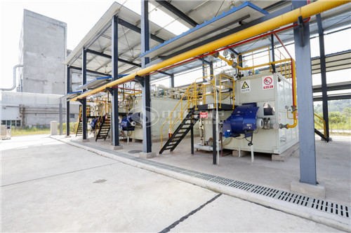 江蘇沼氣鍋爐廠家排行榜哪家好