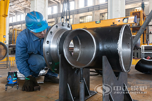 大棚用的沼氣鍋爐多少錢