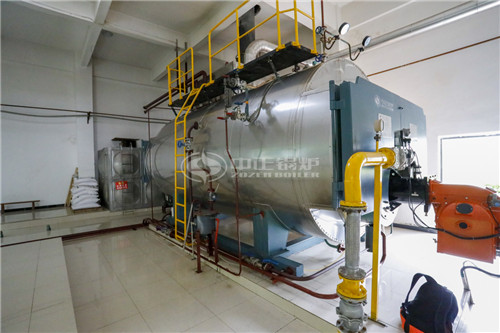 河南沼氣鍋爐價格