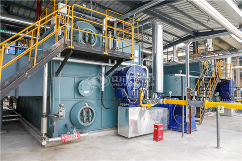 沼氣鍋爐具體排放標準是什么