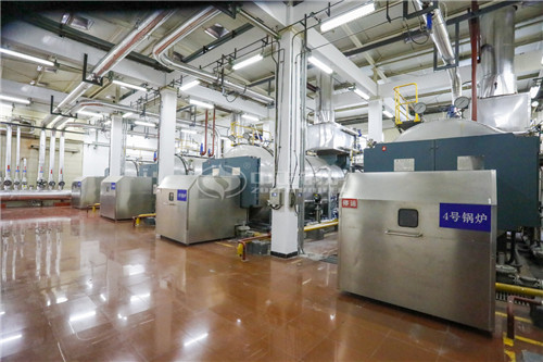 沼氣鍋爐哪個廠家的好