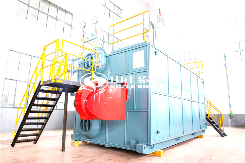 怎么選擇合適的沼氣鍋爐廠家