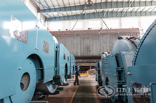 10噸沼氣燃?xì)忮仩t費用多少