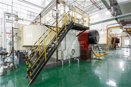 供暖沼氣鍋爐哪家好