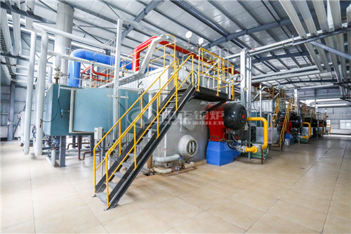 沼氣鍋爐生產(chǎn)廠家在哪里