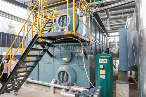 沼氣燃?xì)忮仩t的特點(diǎn)有哪些