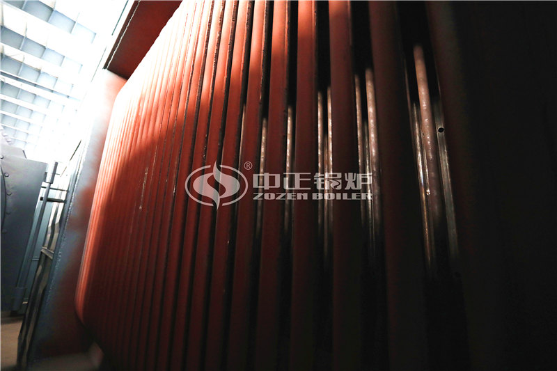 工業(yè)沼氣鍋爐廠家哪家好