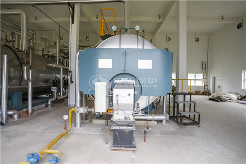 沼氣鍋爐生產(chǎn)廠家