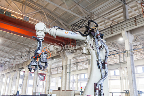 中正鍋爐燒沼氣的燃?xì)忮仩t價格