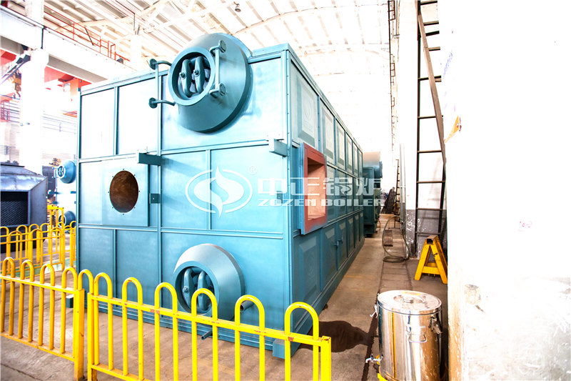 6噸養(yǎng)殖沼氣鍋爐價(jià)格