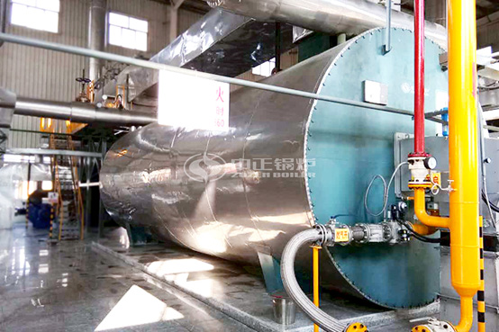 20噸WNS沼氣蒸汽鍋爐項目