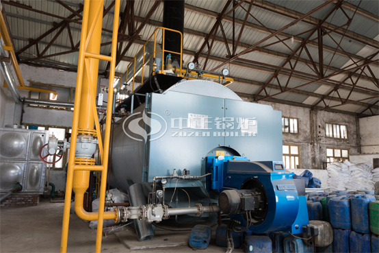 10噸WNS沼氣蒸汽鍋爐項目