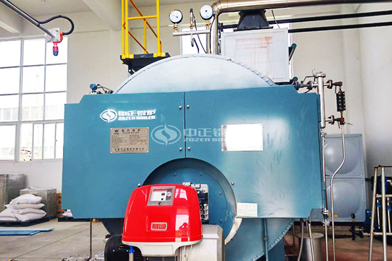 8噸WNS系列冷凝式沼氣蒸汽鍋爐項(xiàng)目
