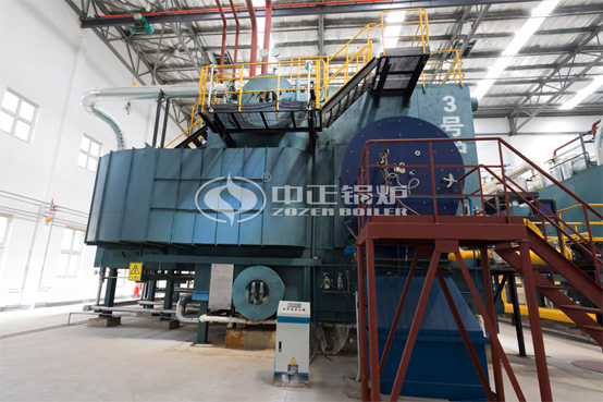 12噸WNS系列冷凝式沼氣蒸汽鍋爐項(xiàng)目