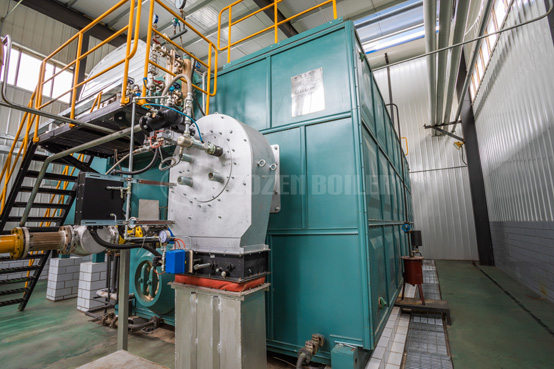 四海染整10噸WNS系列天然氣蒸汽鍋爐項目