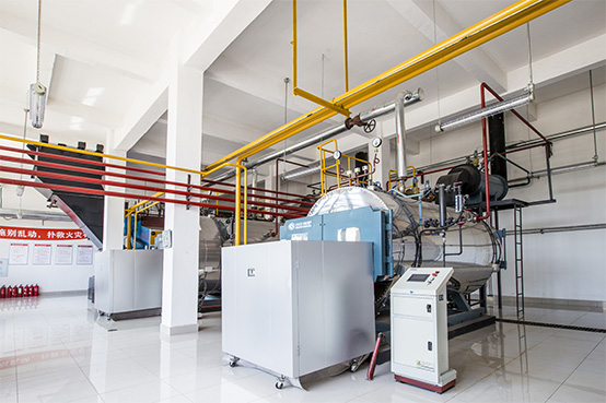 30噸SZS系列冷凝式沼氣蒸汽鍋爐項(xiàng)目