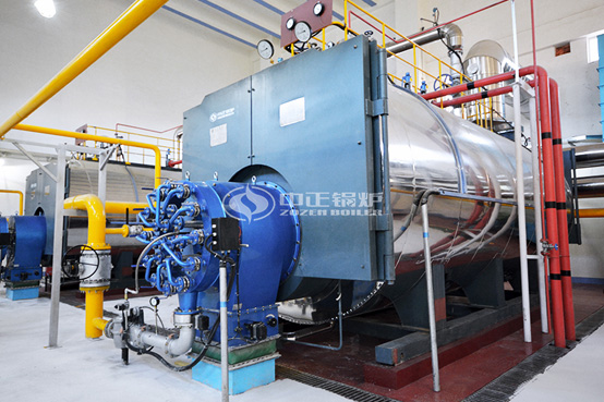 10噸WNS系列沼氣鍋爐項目