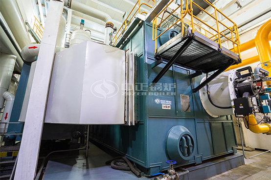 25噸SZS冷凝式沼氣鍋爐項目