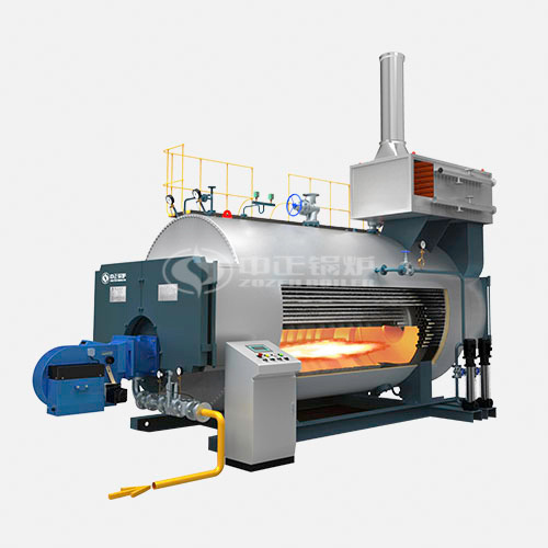 WNS系列沼氣熱水鍋爐